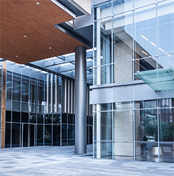 Business English Program: Unlock Your Professional Potential